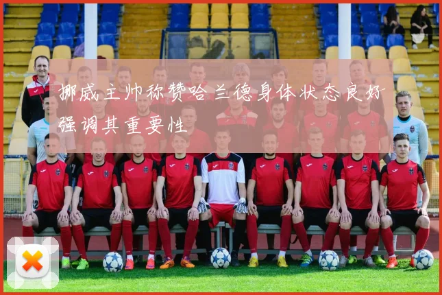 挪威主帅称赞哈兰德身体状态良好强调其重要性
