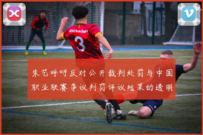 朱艺呼吁反对公开裁判处罚与中国职业联赛争议判罚评议结果的透明化探讨